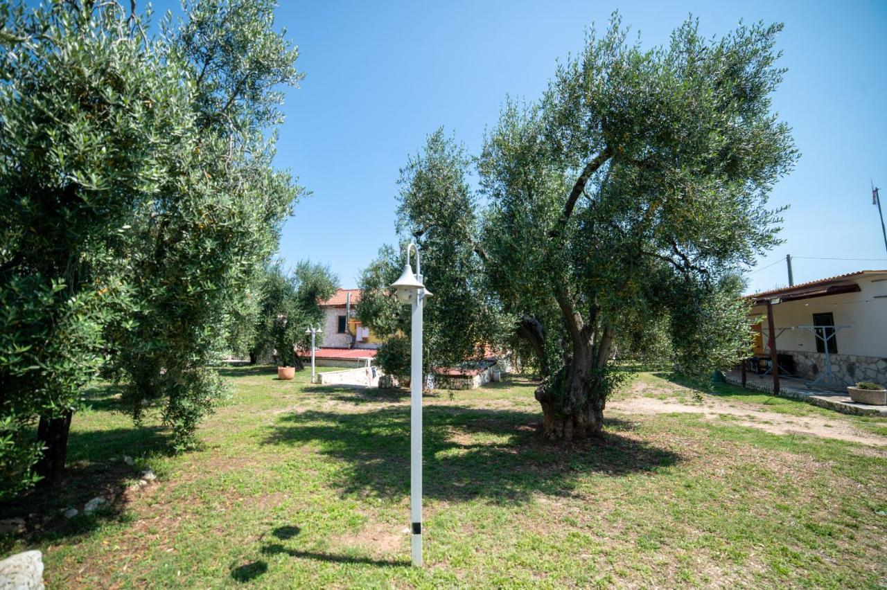 Bed and Breakfast Coppola Rossa Relax Вьесте Экстерьер фото