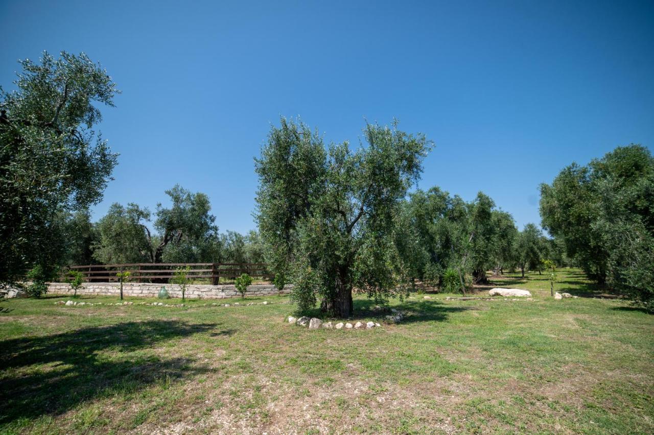 Bed and Breakfast Coppola Rossa Relax Вьесте Экстерьер фото