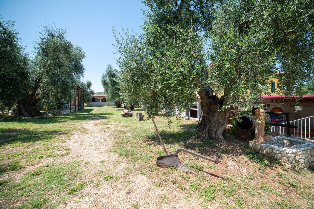 Bed and Breakfast Coppola Rossa Relax Вьесте Экстерьер фото
